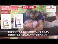 【犬の尿路結石について】お家でのケアについて紹介！