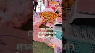 ตลาดนัดวันเสาร์แถวศาลากลางหลังเก่าเมืองสุรินทร์