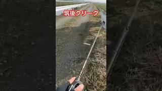 筑後クリークは期待しちゃう！ 福岡バス釣りトニー