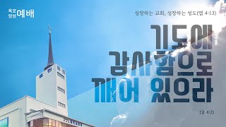 2024.12.19. 목요영성예배 | 그리스도인의 정상적인 성장과 변화(4)(히 6:1-8)