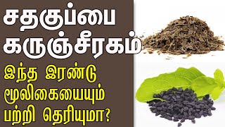 சதகுப்பை \u0026 கருஞ்சீரகம் : இந்த இரண்டு மூலிகையையும் பற்றி தெரியுமா?