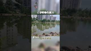 別討厭在你背後說三道四的人 #short #高處不勝寒