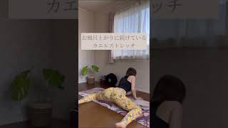 続けることが大切！ #yoga #後屈 #backbend #開脚 #カエルストレッチ