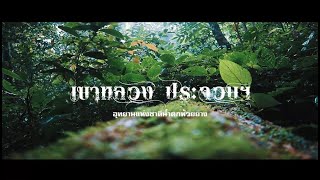 เขาหลวง ประจวบ อุทยานแห่งชาติน้ำตกห้วยยาง   // หนีเที่ยวไปด้วยกัน //