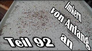 Imkern von Anfang an - Teil 92 - Ergebnis der 1. Varroabehandlung