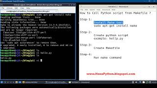Run python script from Makefile