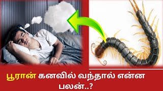 ASTROLOGICAL Of Dream l பூரான் கனவில் வந்தால் என்ன பலன் l What is the benefit if Puran  dream l