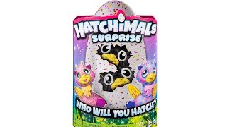 Hatchimals Surprise Giraven Twins Surprise Egg Unboxing Toy Review