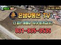 연천토지 자유로에서 37번국도 적성 두일리 4차선 도로공사중 8m 도로접한 계획관리 땅 백학저수지 자연생태학습장 5분이내 힐링쉼터 조성사업추진 예정 마을내토지 창고.전원주택