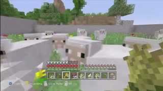 Mincraft: 1:15 of Being Raped By Sheep