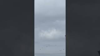 朝起きて外見てたら戦闘機が飛んでた　岐阜基地航空祭　F15
