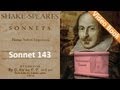 Sonnet 143 by William Shakespeare