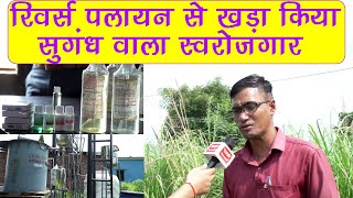 Aromatic Plant । Aromatic Industry।  Self Employment। सुगंध वाला स्वरोजगार।Ramnagar। Uttarakhand