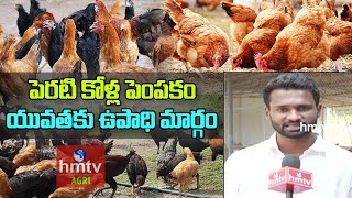 పెరటి కోళ్ల పెంపకం యువతకు ఉపాధి మార్గం | Backyard Chicken Rearing| Perati Kolla Pempakam | hmtv Agri