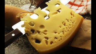 The Art of Swiss Cheese: Modern Methods of Production in Swiss Cheese Industries| cheese making