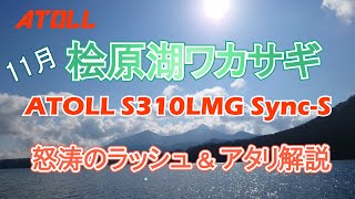 11月桧原湖ワカサギ釣り ATOLL S310LMG Sync-S 怒涛のラッシュ＆アタリ解説