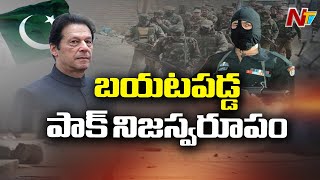 పాకిస్తాన్ నిజస్వరూపం మరోసారి బయటపడింది ... ! | Imran Khan Accept Fact On Mujahidin | NTV