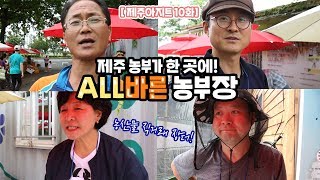 건강하고 정직하게 키운 제주 로컬푸드 장터 '올바른농부장'