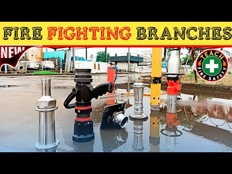 How many types of fire branch?