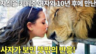 자신을 키워준 여자와 10년 후에 다시 만난 사자가 보인 뜻밖의 반응!