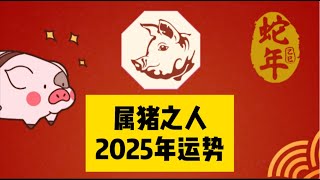 十二生肖乙巳年运：属猪之人2025年运势#国学智慧 #修行 #感情 #国学智慧 #智慧 #星座 #分享 #情感 #戀愛 #正能量 #人生