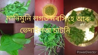 মানিমুনি লগত নৰসিংহ আৰু ভেদাইলতা চাটনি /Assamese Chutney recipe