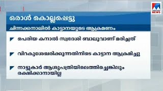 idukki chinnakanal wild elephant attack - one dead