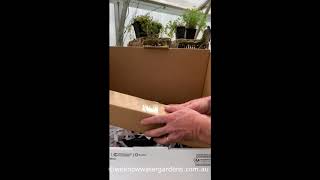 How to unpack your plants