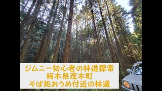 【ジムニー初心者の林道探索】栃木県茂木町そば処おうめ付近の林道