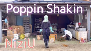 葡萄農家の娘がNiziU「Poppin Shakin」踊ってみた　 poppin shakin dance cover