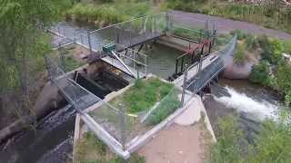 Westminster's Best - How does water get to your tap?