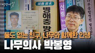 나무의사의 따뜻한 손길, 한 그루의 생명을 살리다, 나무의사 박봉영 | 인생내컷 | 24년 10월 27일