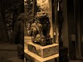 不思議の国日本 旅行 風景 travel japan landscape 京都 旅 パワースポット spiritual shrine 神社 wonderland