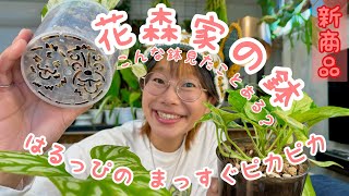 花森家の新商品紹介！