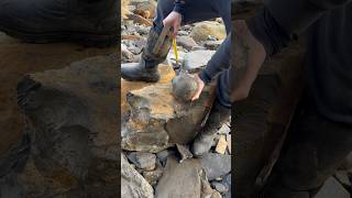 Finding spherical stones on the beach #fossil #stone #gem #ammonite