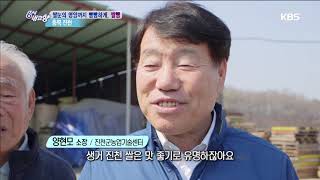 쌀 눈의 영양까지 빵빵하게, 쌀빵 - 충북 진천 [6시 내고향] 20190422