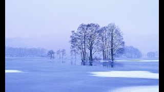 山内惠介「冬の旅（森進一）」Travel in Winter