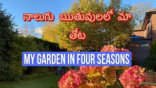 My garden in four seasons in England   #telugugardener నాలుగు  ఋతువులలో మా  ఇంగ్లాండ్  తోట