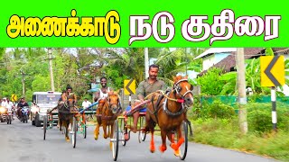 நடுகுதிரை அணைக்காடு 09/04/2022 nadukuthirai anaikkadu pattukkottai thanjavur dt ksk rekla race