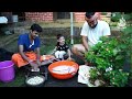 tender jackfruit manchurian recipe ಚೈನೀಸ್ recipe ಊರಿಗೆ ಬಂದಾಗ.. gujje manchurian recipe