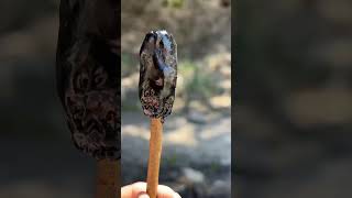 PINE SAP | Nature's Multitool #nature #bushcraft #camping #outdoors