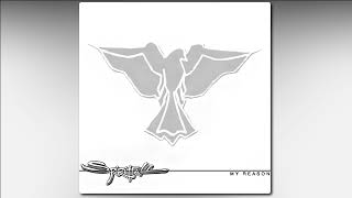 Spiritfall - My Reason