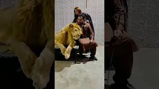 thoda intejar का maja lijiye. #love #lion #tiger #dance #song #music #bollywood #youtube #animals .