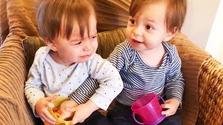 Twins Babies Fighting -Try Not to Laugh Challenge