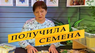 Какие семена заказала. Семян много не бывает.