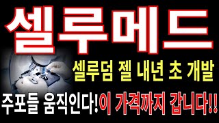 [셀루메드]셀루덤 젤 내년 초 개발! 주포들 움직인다! 이 가격까지 갑니다!!