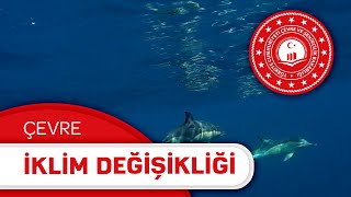 İklim Değişikliği