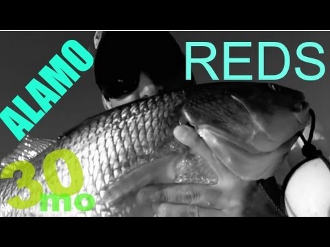 FRESH WATER REDFISH kayak fishing Braunig Lake - SAN ANTONIO TEXAS FRESH WATER REDFISH kayak fishing Braunig Lake - SAN ANTONIO TEXAS