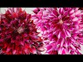 #120 How to paint Two Dahlias Using a Mini Appetizer Spoon ~ Acrylic Pour Art for beginners