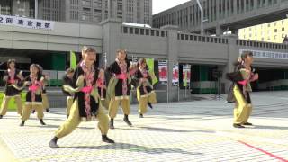 MY matsuri　第2回東京舞祭「秋」　審査員特別賞　上石神井舞桜組さん / DRAGON SWING